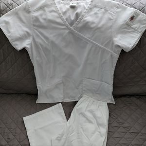 Womens Dickies Scrub Set in Small. Does blue paint paint but looks cool.